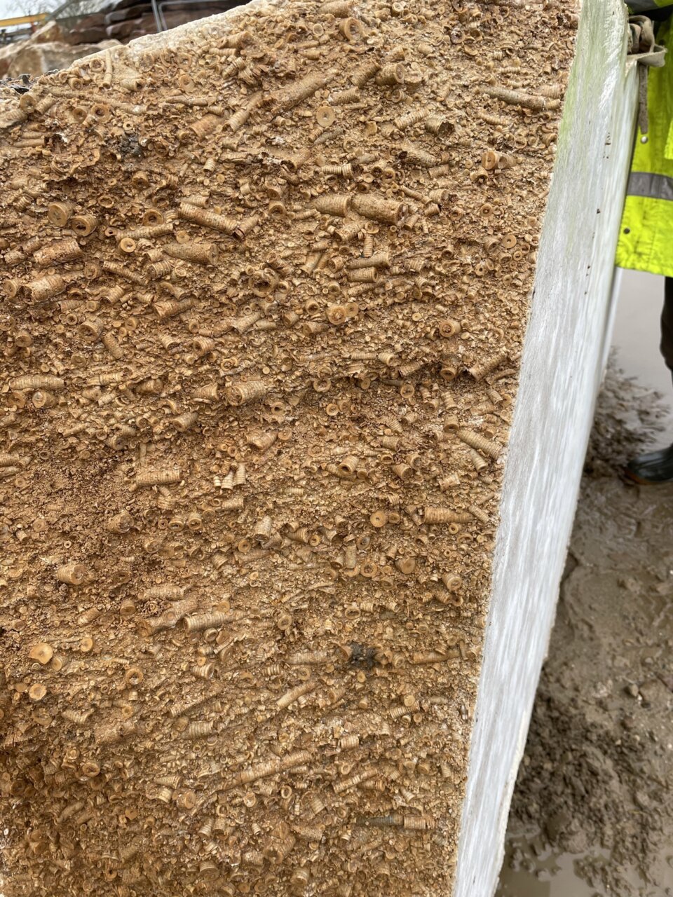 Unpolished stone with mud on it