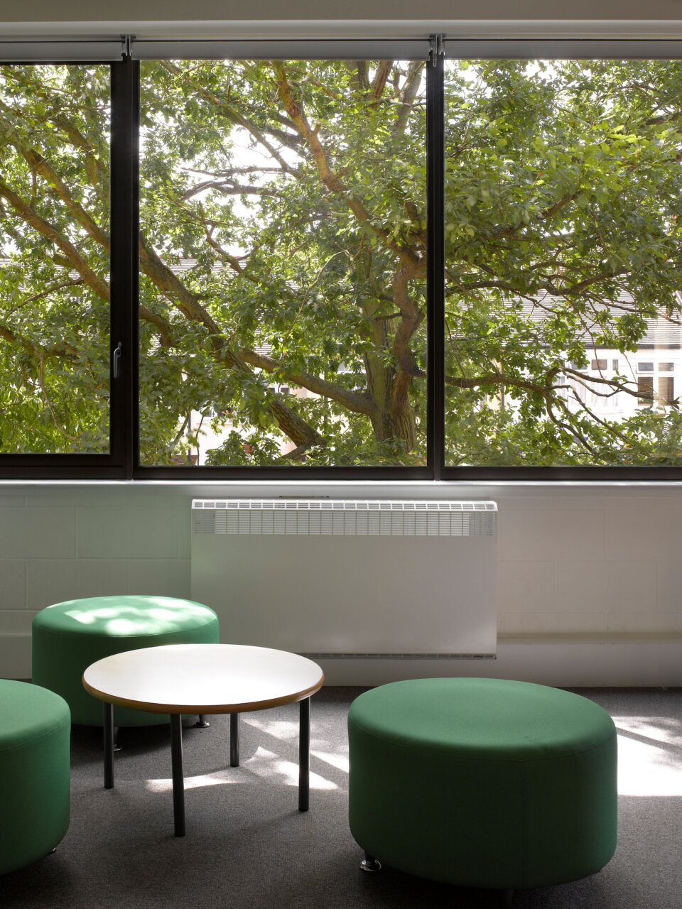 Looking out of a classroom window at Newlands School onto mature trees