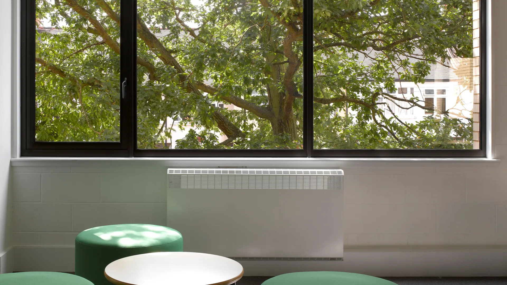 Looking out of a classroom window at Newlands School onto mature trees