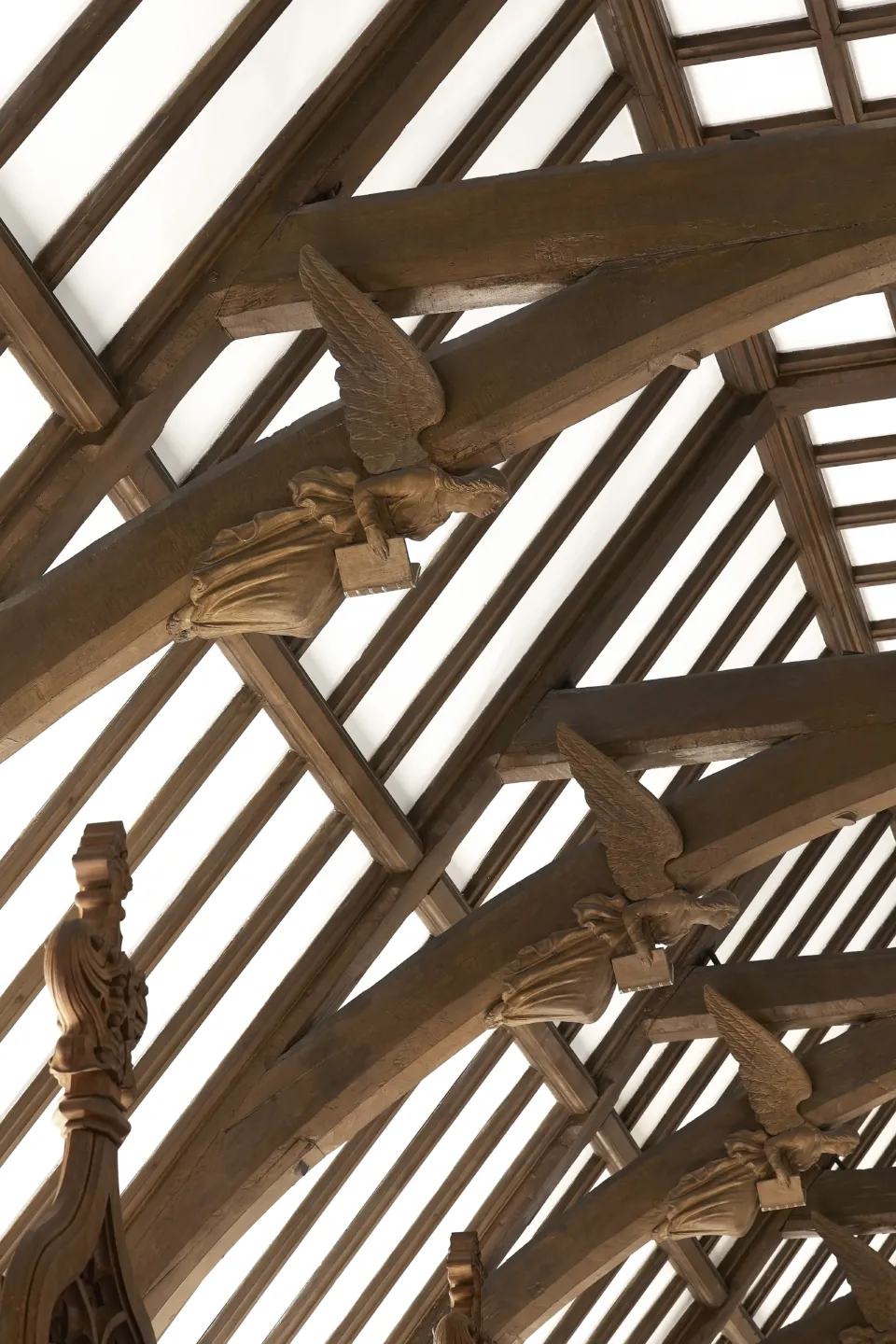 Wooden beams in historic library ceiling