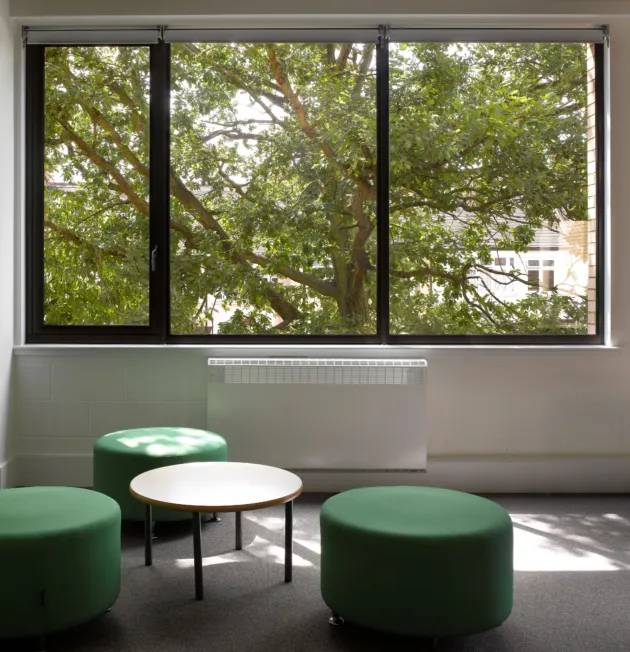 Looking out of a classroom window at Newlands School onto mature trees